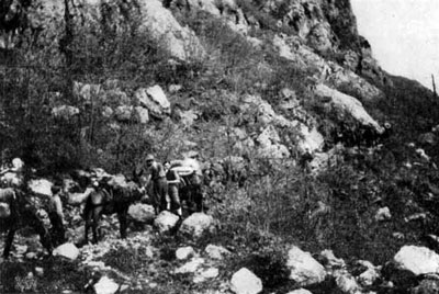 Supplies being moved up to the front by Pack Mule.