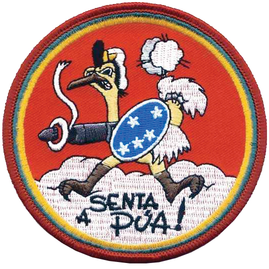 The Brazilian pilot's badge