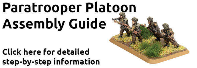 British Desert Rats Squadron (BRAB13)