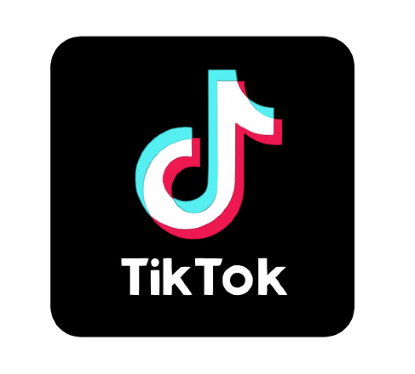 TikTok Icon