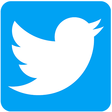 Twitter Icon