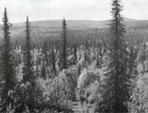 Terrain of Northern Finland