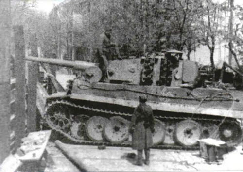 Muncheberg Tiger Muncheberg Tiger