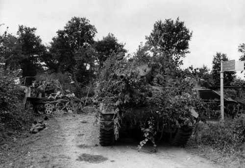 Camouflaged Sherman