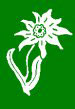 1. Gebirgsdivision
