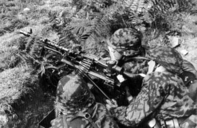 SS or Herman G&ouml;ring troops