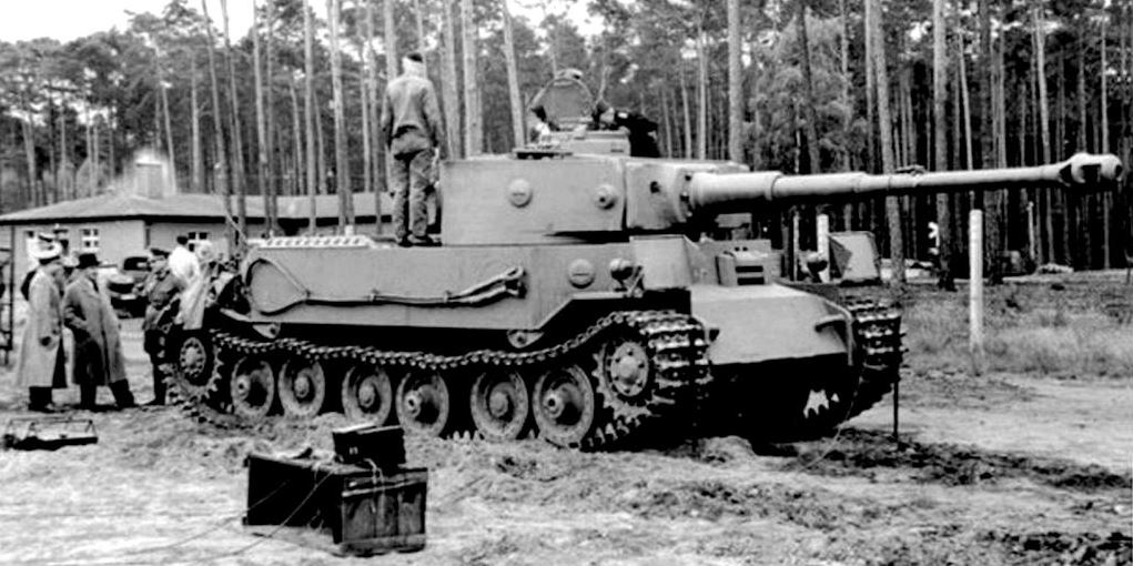 The Tiger (P) In North Africa