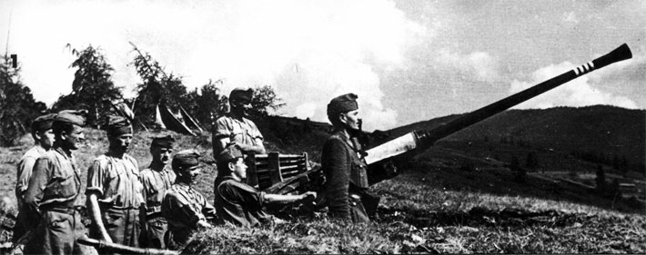 Hungarian Bofors