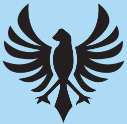Using The Arab and Jordanian Decal Sets