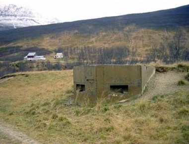 Frøy Defence Line - Fortifications