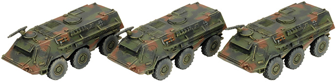 Fuchs Transport (TGBX06)