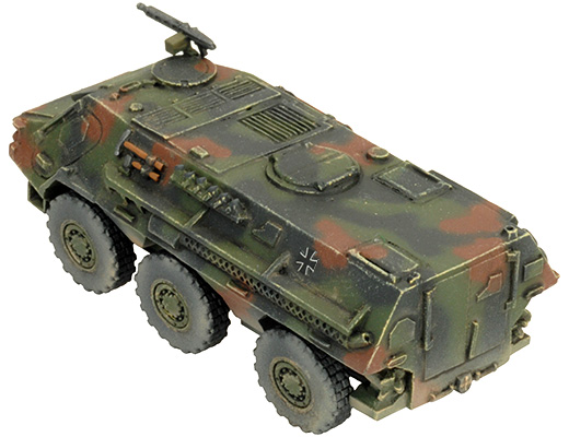 Fuchs Transport (TGBX06)