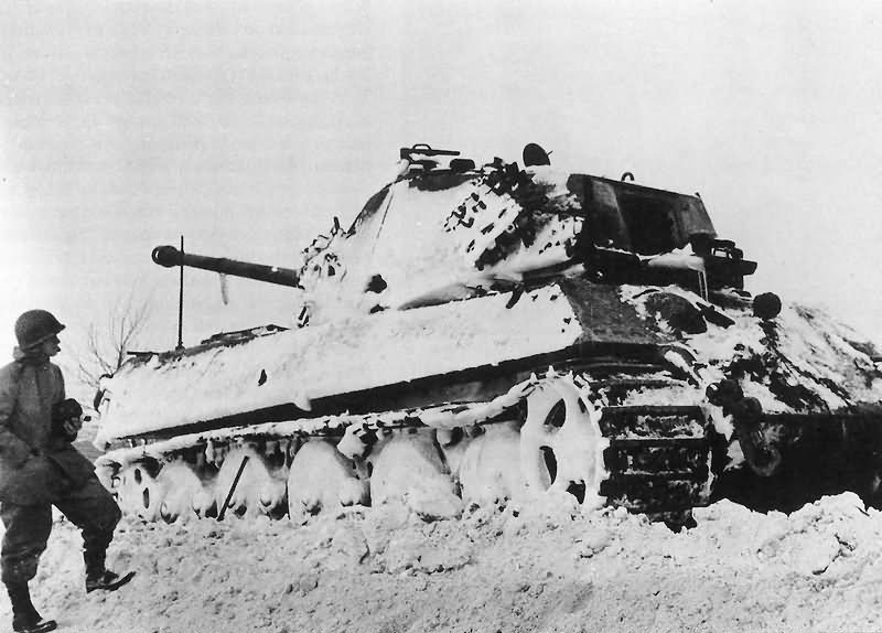 King Tiger