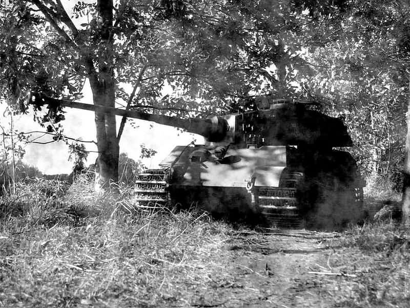 King Tiger King Tiger