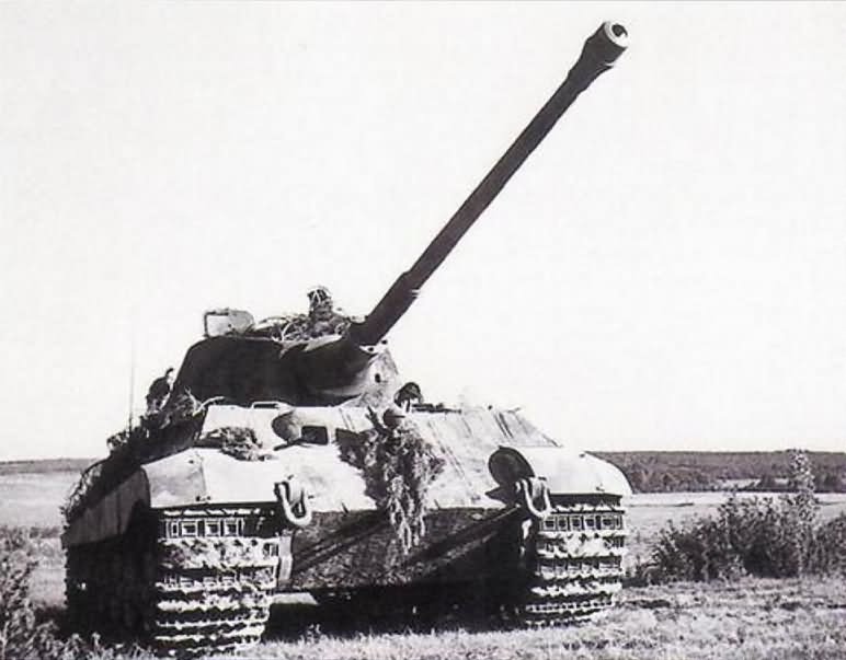 King Tiger King Tiger