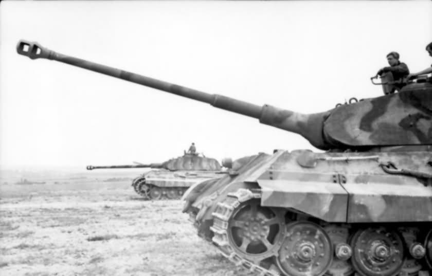 King Tiger King Tiger