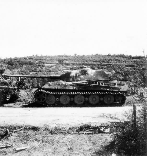 King Tiger King Tiger